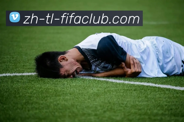 世界杯买球服务体系