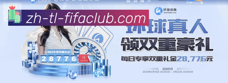 未来规划